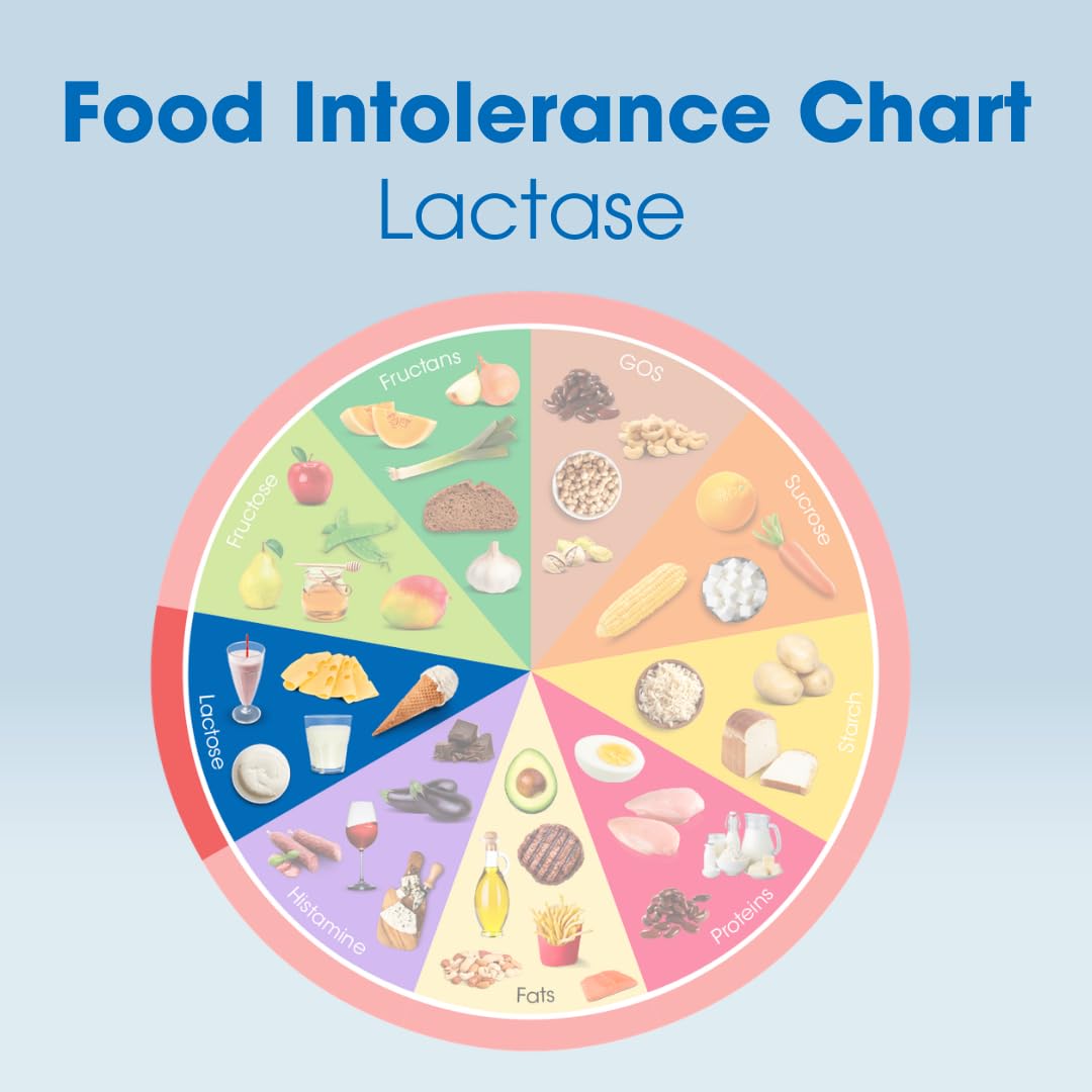 Lactase Digestive Enzymes 100 Tablet Z550390