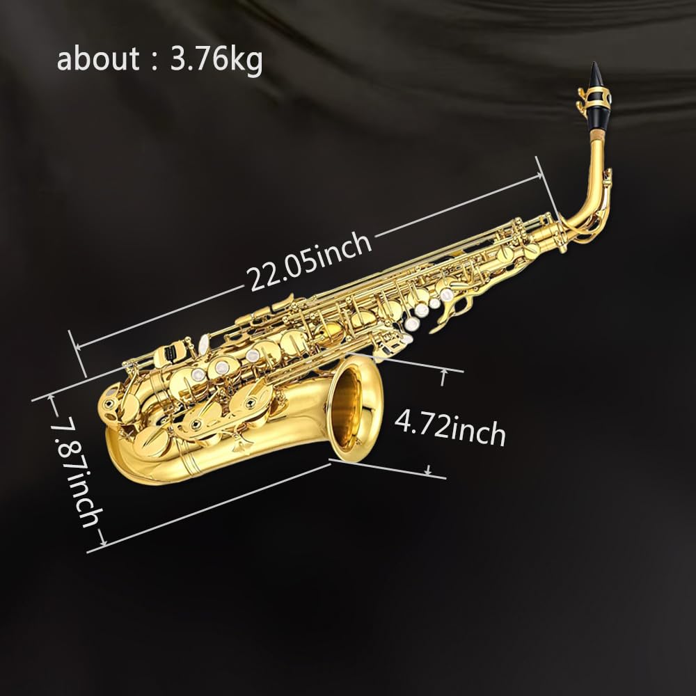 Eb Alto Saxophone Full Kit with Carrying Case Y4976