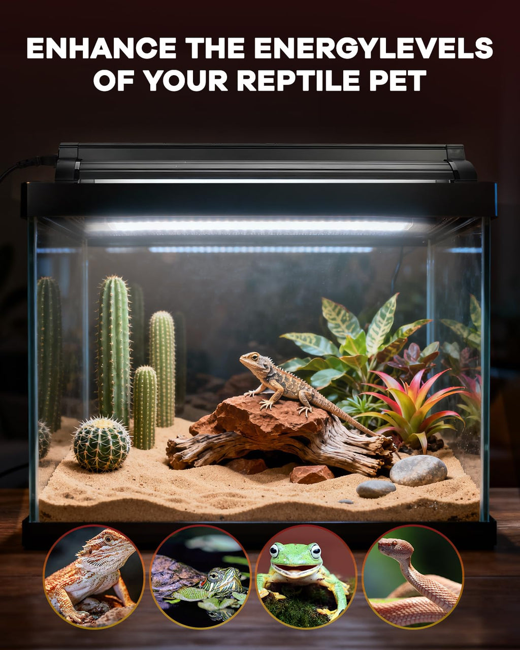 8W T5 UVB Reptile Light Fixture Combo Kit V67975