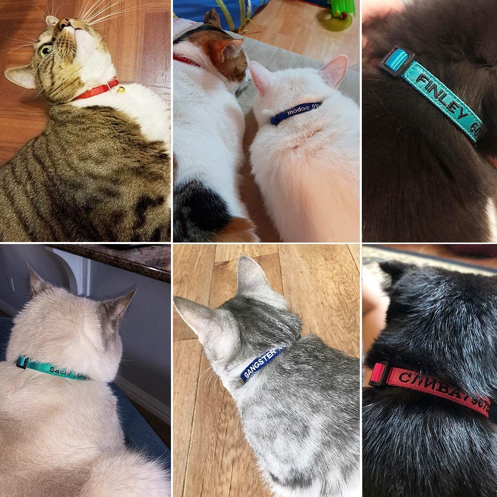 Nylon Cat Collar Breakaway with Bell N7123