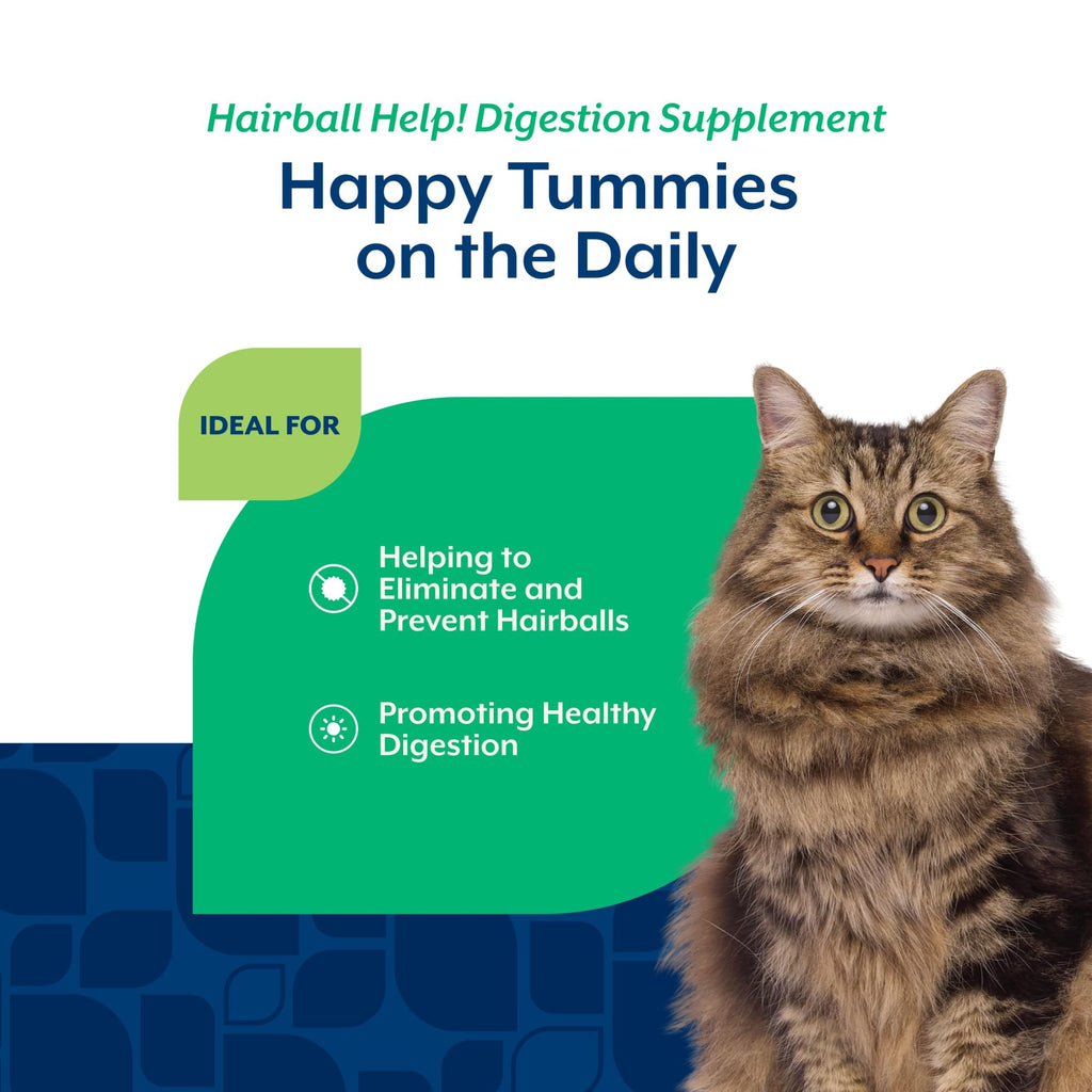Hairball Aid Supplement for Cats Plus Pumpkin 60 Soft Chews A80720