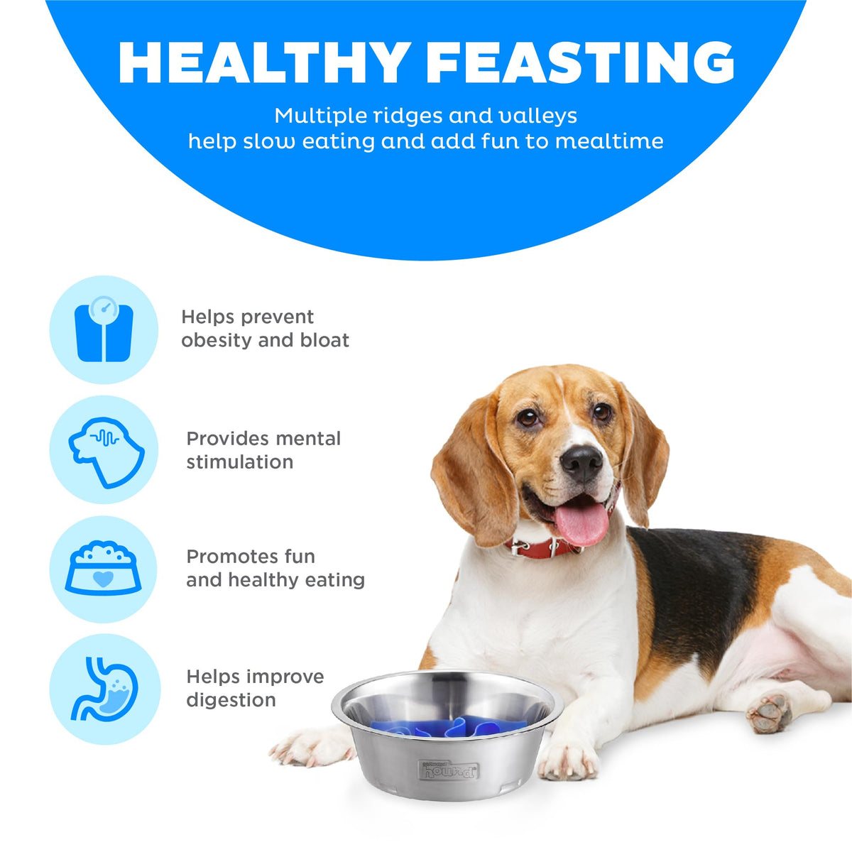 Stainless Steel Slow Feed Dog Bowl T23630