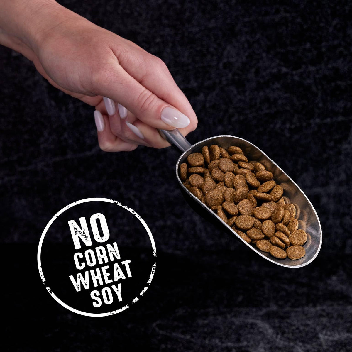 Grain Free High Protein Natural Dry Cat Food, Chicken, 10 lb X69158
