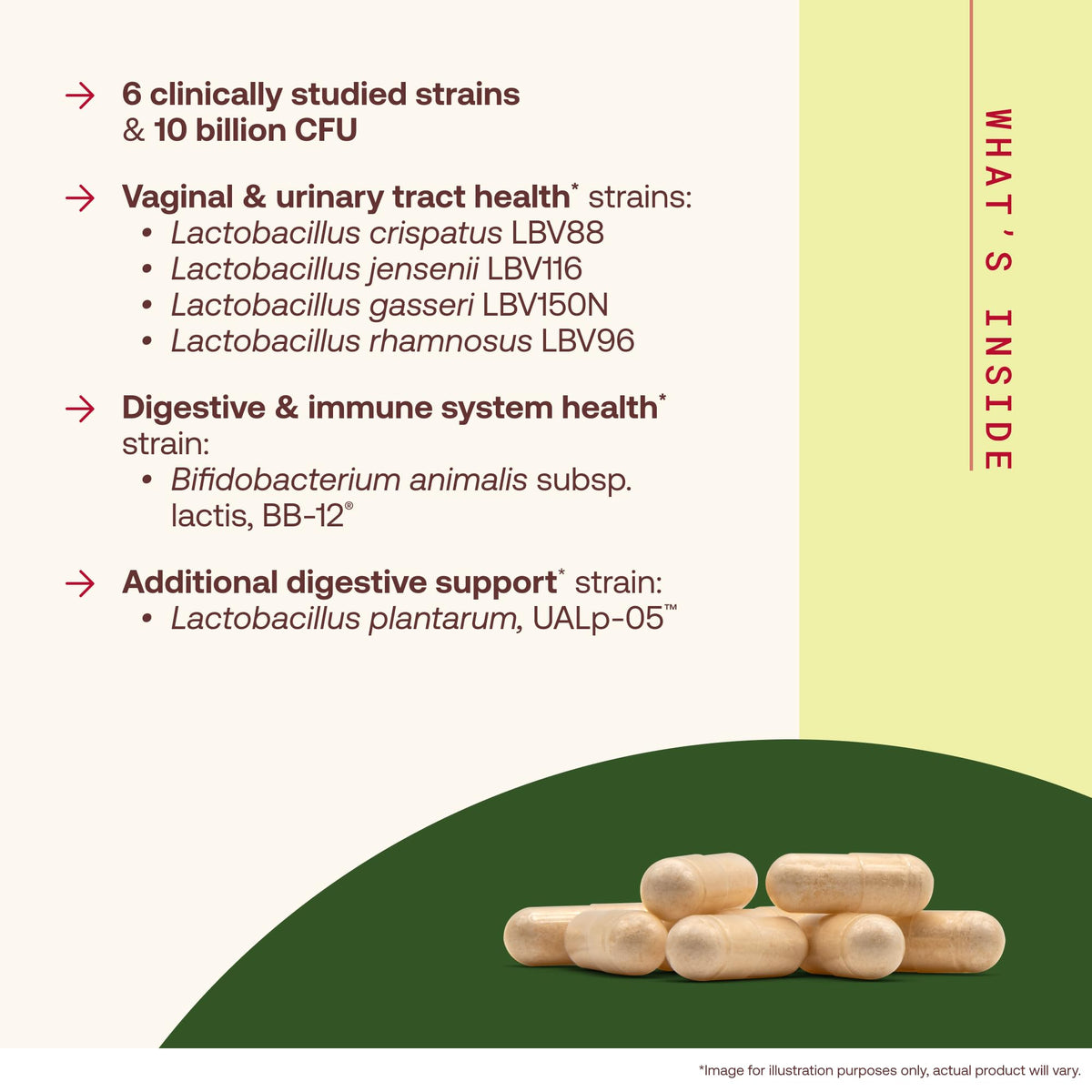 30 Capsules 10 Billion CFU Probiotics G279491