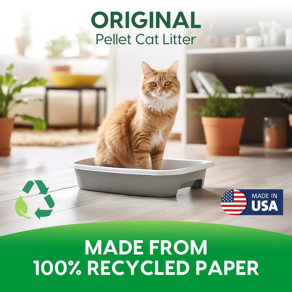 Paper Non-Clumping Cat Litter 12 Pound B888853