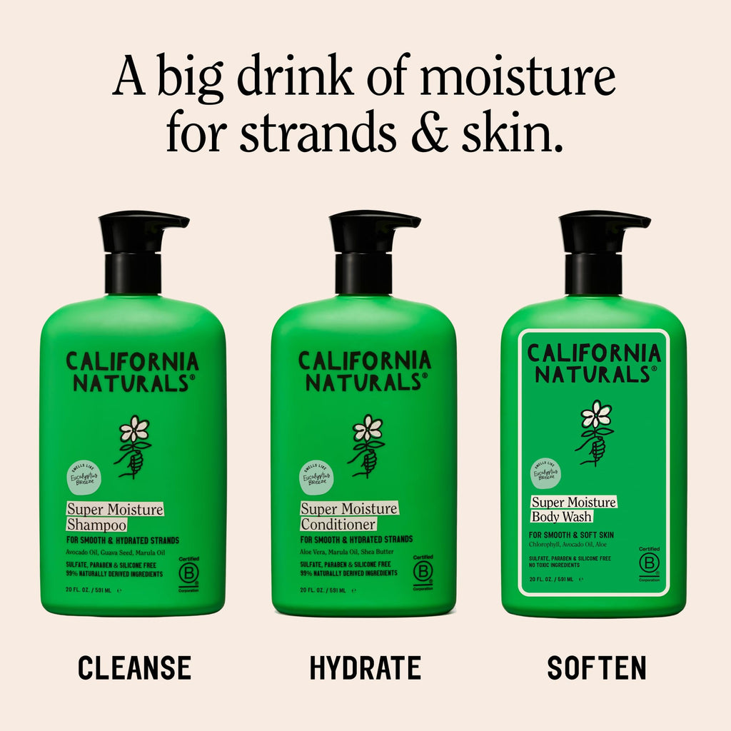 Eucalyptus Breeze Moisture Shampoo and Conditioner Set 20 fl oz O778092