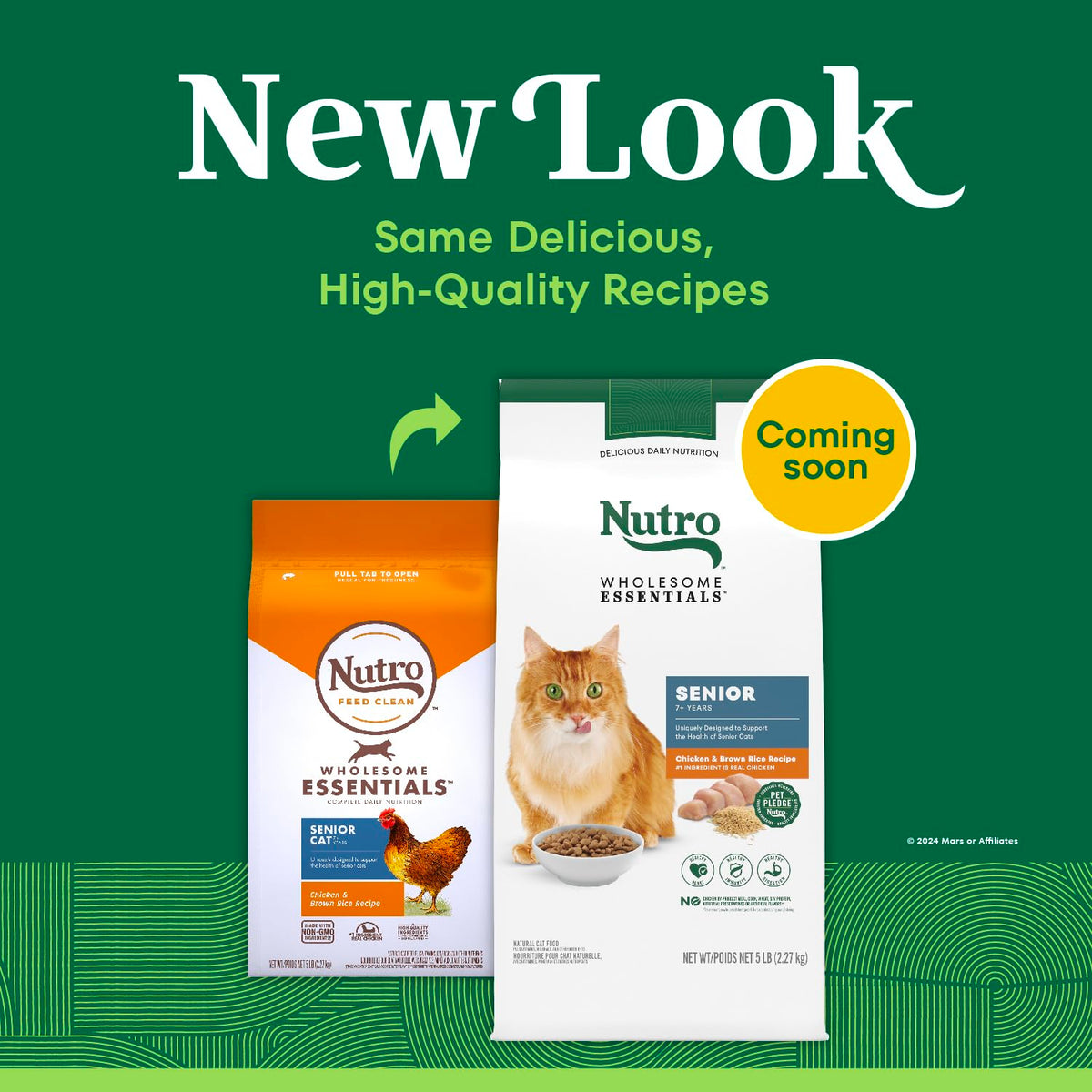 Senior Dry Cat Food Chicken & Rice 5 lb O9437