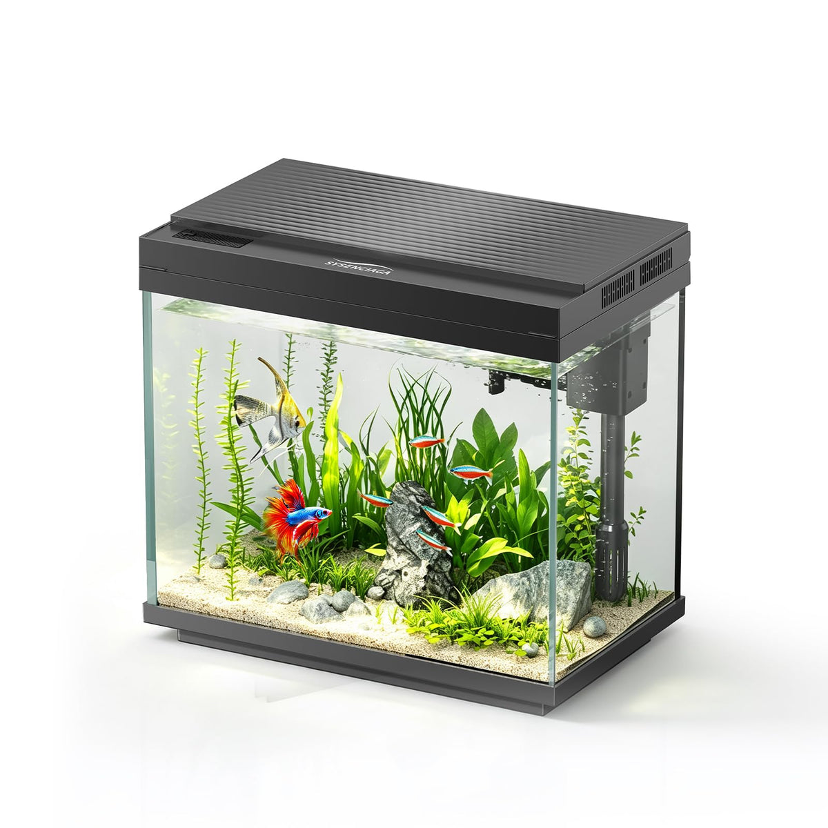 3 Gal Glass Fish Tank Kit with Filter & Light M709