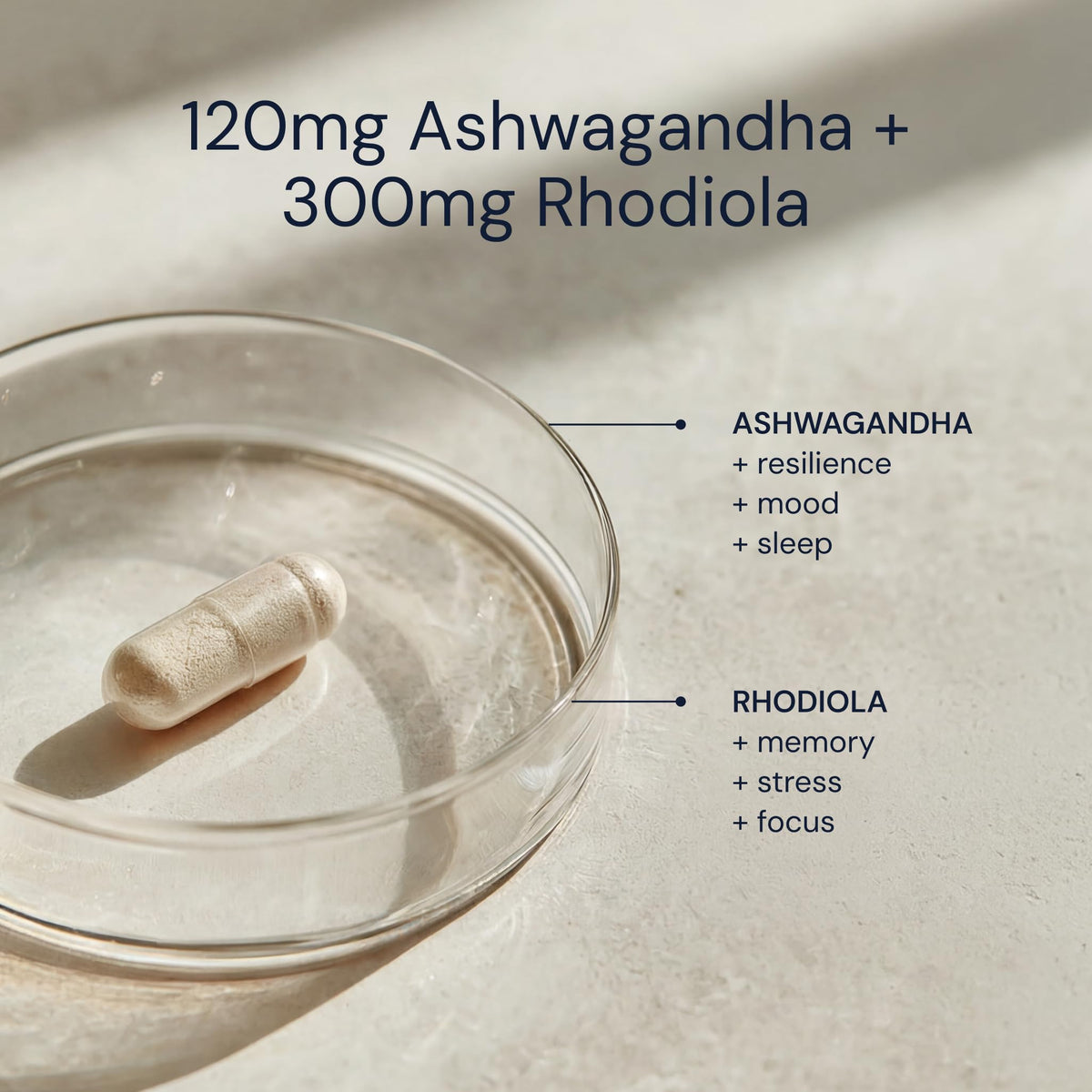 Ashwagandha & Rhodiola 120mg Adaptogen Capsules 30 Vegan Capsules R3406