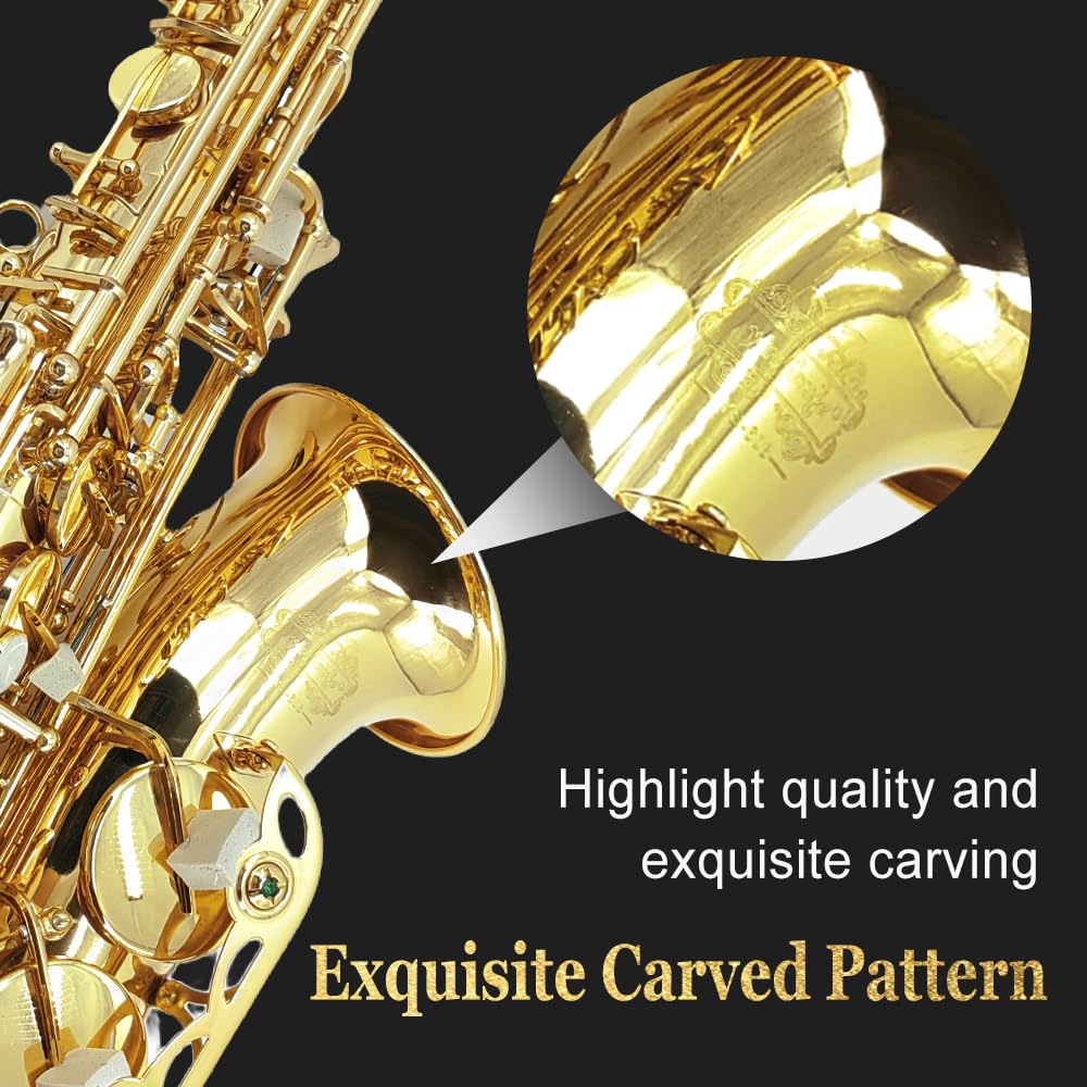Eb Alto Saxophone Full Kit with Carrying Case Y4976