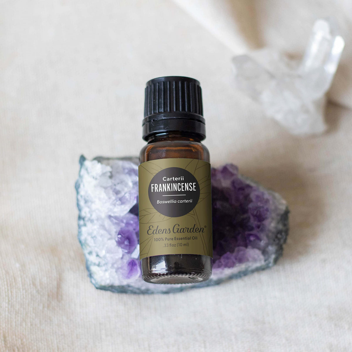 Frankincense Carterii Essential Oil 30 ml V9687