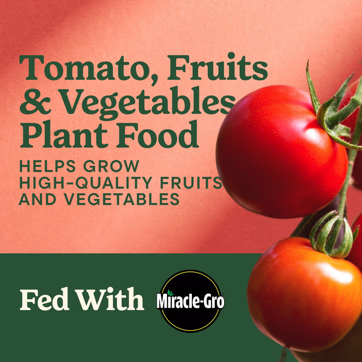 Tomato Fruits and Vegetables Plant Food 2-Pack A964562