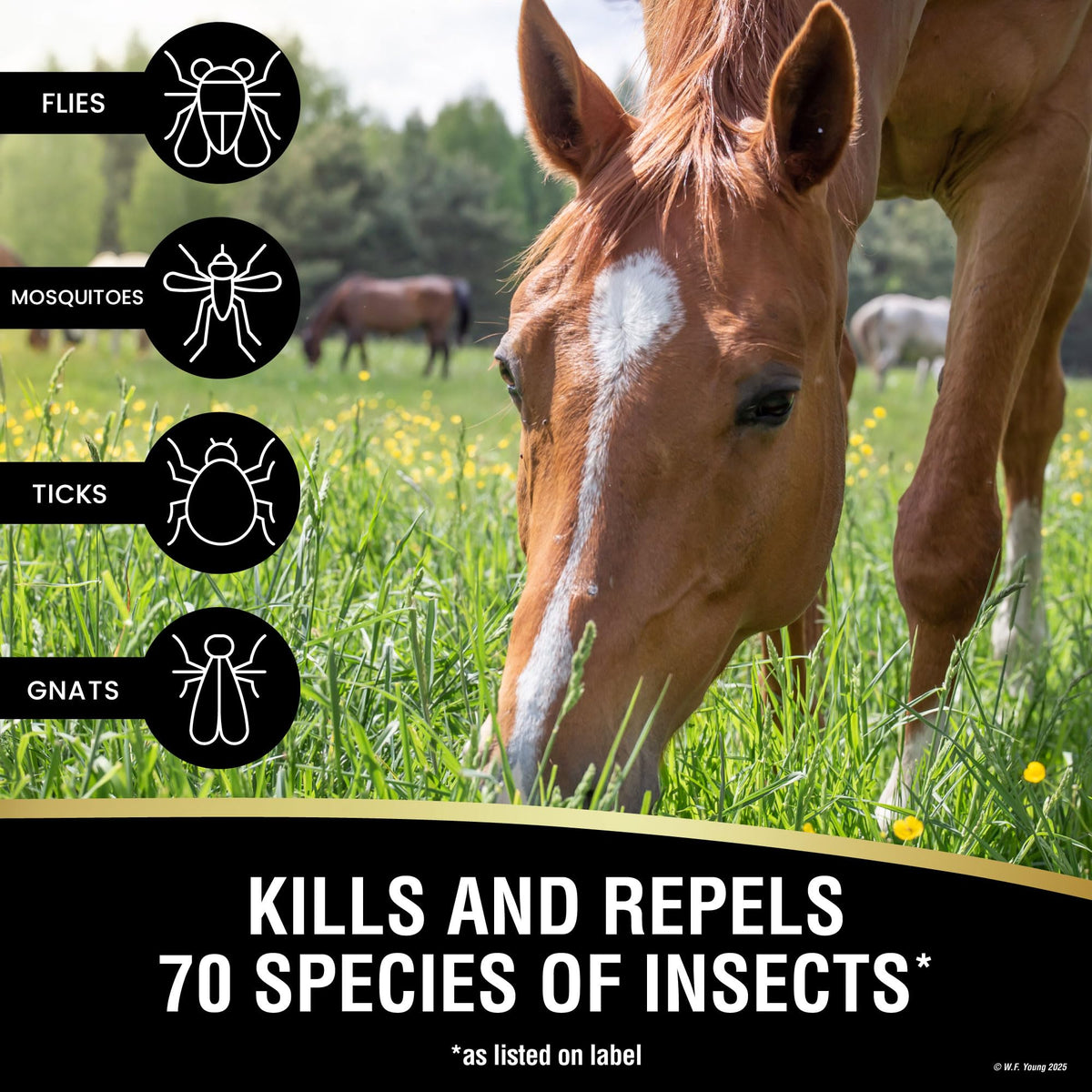 Insecticide & Repellent 128 fl oz D569657