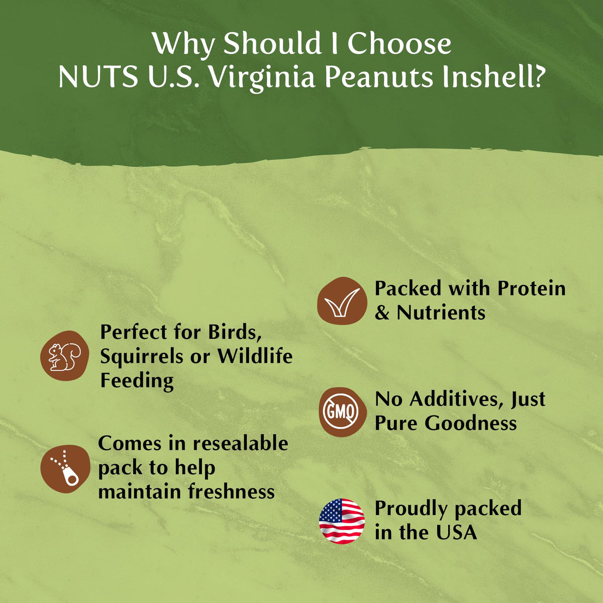 Whole In Shell Unsalted Peanuts 2 LBS P931