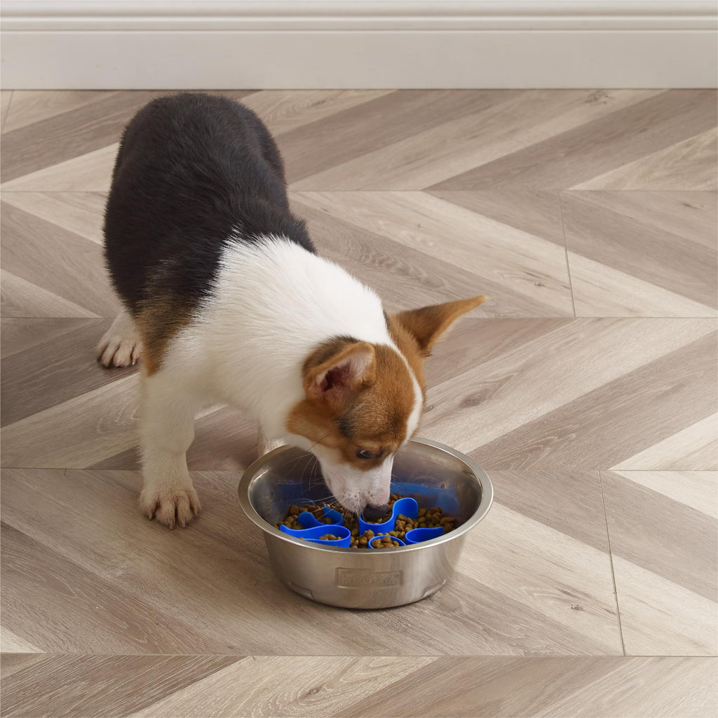 Stainless Steel Slow Feed Dog Bowl T23630