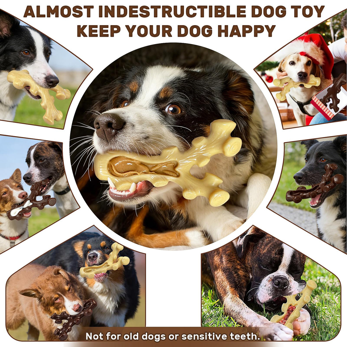 2 Pack Dog Chew Toys for Medium Large Breed T3489