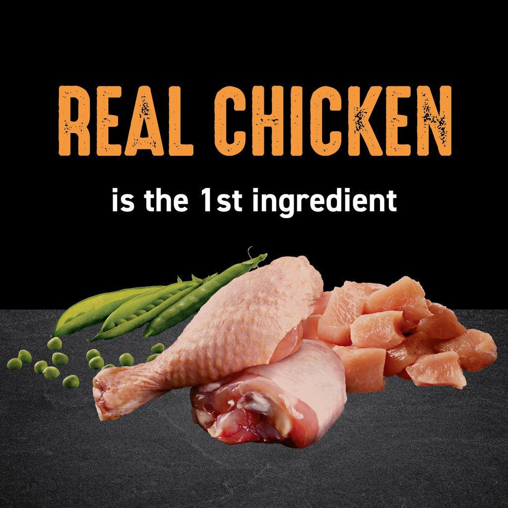 Grain Free High Protein Natural Dry Cat Food, Chicken, 10 lb X69158