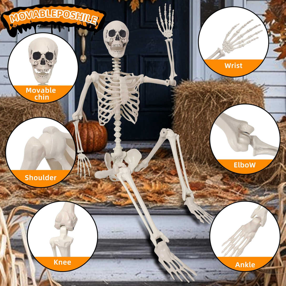 Life Size Poseable Plastic Skeleton with Banner P6589