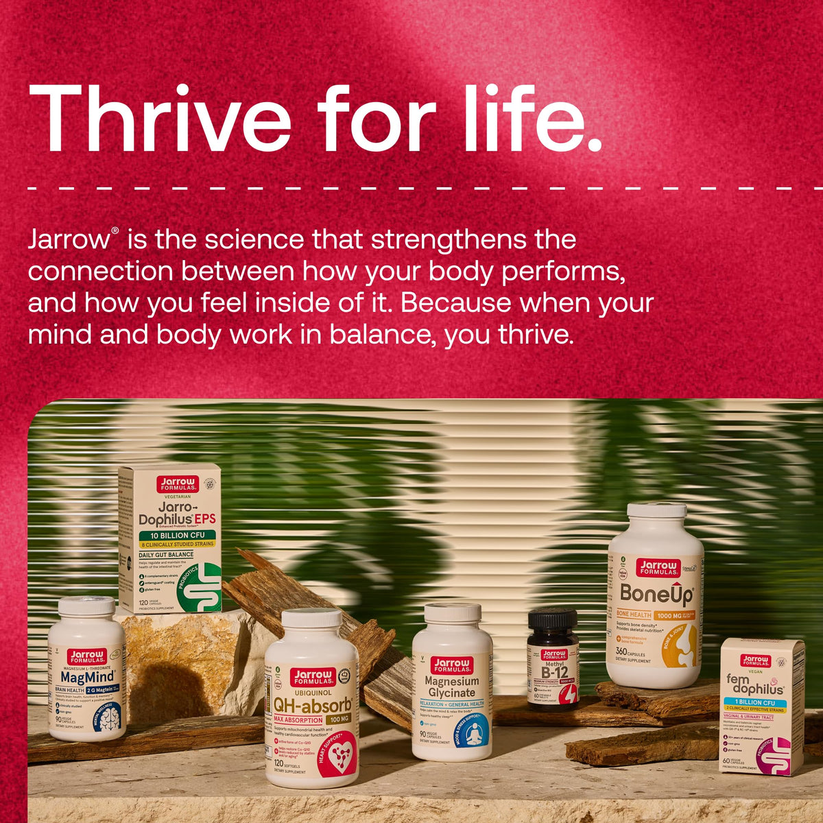 30 Capsules 10 Billion CFU Probiotics G279491