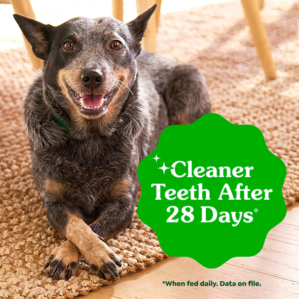Large Natural Dental Dog Treats, 24 Count I318